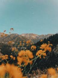 Pin By Macy Willcutt On Aesthetics Nature Aesthetic Landscape Photography Aesthetic Backgrounds Collection by charlotte • last updated 12 hours ago. nature aesthetic
