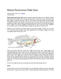 Doc Sistem Pencernaan Pada Ikan Thata Jakiyah Academia Edu