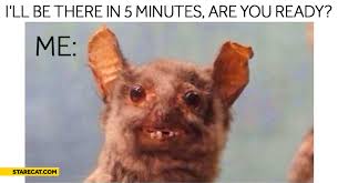 I Ll Be There In 5 Minutes Are You Ready Starecat Com