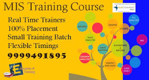 Qualities To Consider While Hiring An Expert Mis Executive Https Medium Com Courses 43208 Qual Training Courses Management Information Systems Job Placement