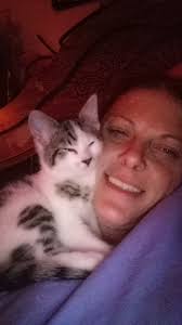 Lost and Found Animals Jefferson CO, Nebraska