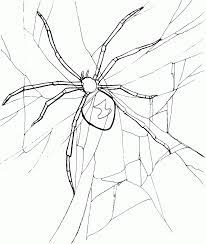 Coloring spiderman can be a little tough because there are a lot of intricacies in his appearance. Free Printable Spider Coloring Pages For Kids