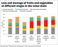 Each Year Half The Fruits Vegetables World Produces Are