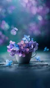 صور ورد جميل اوى flower iphone wallpaper pretty wallpaper iphone blue flower wallpaper