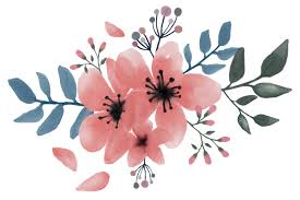 How to watercolor flowers procreate. Sakura Bouquet Watercolor Free Image On Pixabay