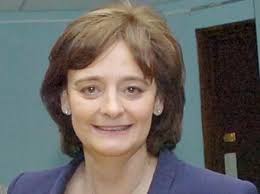 Cherie Booth advice was not followed by Liverpool council in row over David  McElhinney BT deal