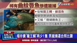 Последние твиты от 王剑 wong kim (@wongkim728). Cy7rwnrdvk3l2m