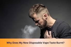 Why Does My New Disposable Vape Taste Burnt?