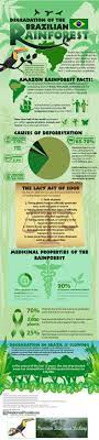 Deforestation Of The Amazon Rainforest Amazon Rainforest Deforestation Amazon Rainforest Rainforest Facts