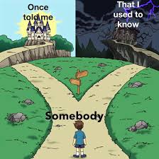 Somebody once told me the world is gonna roll me. You Didn T Have To Cut Me Off Memes