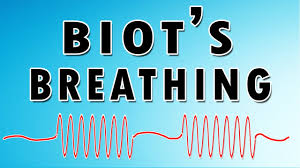 Abnormal breath sounds respiratory system. Cheyne Stokes Breathing Pattern Causes Sound And Treatment Youtube