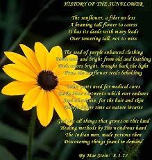 History Of The Sunflower Nature Poems Nature Poem Famous Poems Poems