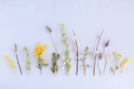 See more ideas about desktop wallpaper, wallpaper, dress your tech. Aesthetic Desktop Wallpaper Enjpg
