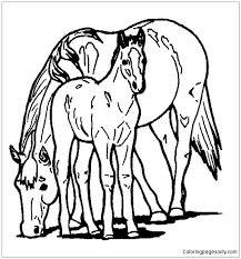 Sep 07, 2021 · cute unicorn coloring pages for kids: Horse And Pony Coloring Pages Horse Coloring Pages Coloring Pages For Kids And Adults