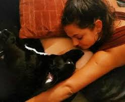 Just like humans, pets want to look their best. Pet Grooming In Amstelveen With Best Prices On Petbacker