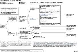 Nccn Guidelines Insights B Cell Lymphomas Version 3 2019 In Journal Of The National Comprehensive Cancer Network Volume 17 Issue 6 2019
