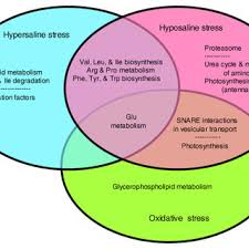 Learn venn diagram comparison bacteria and plant animal cell with free interactive flashcards. Venn Diagram Of Kegg Pathways Identified As Over Represented Among The Download Scientific Diagram