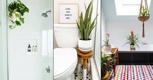 It loves humid air, and it. 10 Perfect Indoor Plants For Bathrooms In India India Gardening