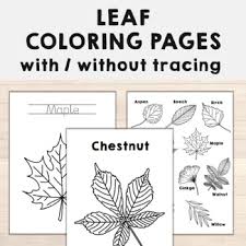 First grade fall worksheets and printables. First Day Of Fall Coloring Worksheets Teaching Resources Tpt