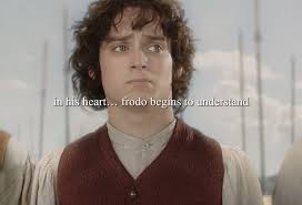 Frodo Fml
