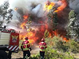 O incêndio deflagrou no dia 3 de agosto de 2018 na zona da perna negra, na serra de monchique e foi o maior registado nesse ano em portugal e na europa. Risco Maximo De Incendio Hoje E Amanha Em Lousada Pacos De Ferreira Paredes E Penafiel Verdadeiro Olhar