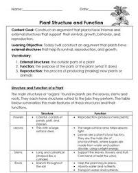 Parts of a plant worksheets and activities for young learners. Free Plant Structures And Function Internal And External Bundle