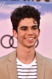 Cameron boyce remembered on what would have been his 22nd birthday: So Sehr Trauern Die Fans Um Den Verstorbenen Cameron Boyce Promiflash De