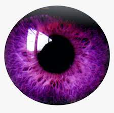 To get more templates about posters,flyers,brochures,card,mockup,logo,video,sound,ppt,word,please visit pikbest.com. Eye Png Purple Purple Eye Transparent Background Png Download Kindpng