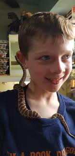 First time handling a bearded dragon named Sigurd