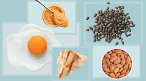 Image result for Protein