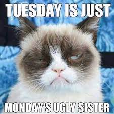 1024 x 1027 jpeg 173 кб. 15 Happy Tuesday Memes Best Funny Tuesday Memes