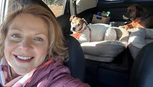 Fundraiser by Humble Appreciative Human : Help Becca keep her home in  Fairview, NC