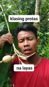 #layas na na protas Alvino @ @ Cindy Bracero Delosreyes Luisa Magsino  Santos Gerald Berja Jesseca Manlangit Sero Ryma Dellova Resco Bracero Yumie  Mark Anthony Moraño Coi Alvarez Alvic Alarte Madelyn ...