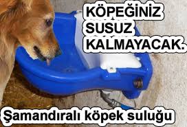 Otomatik Kopek Sulugu Photos Facebook
