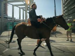 The Deadly Ponies Gang