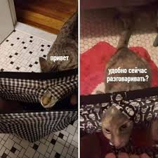 Включва в себе си следните речници: Udobno