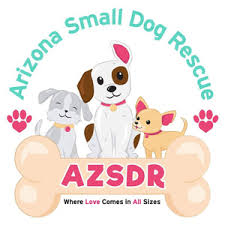 Maybe you would like to learn more about one of these? Dog Rescue Phoenix Dog Adoption Arizona Small Dog Rescue