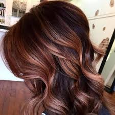 Check out the ones that i found are most how would you describe this look? 50 Intense Dark Hair With Caramel Highlights Ideas All Women Hairstyles