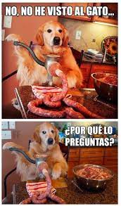 Imagenes De Risa Memes Chistes Chistesmalos Imagenesgraciosas Humor Funny Amusing Fun Lol Lmao Hilarious Laugh P Funny Spanish Memes Memes Chistes