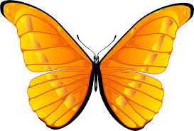 Maybe you would like to learn more about one of these? Orange Butterfly Png Clip Art Clipart 7000 4739 Bbq Butterfly Clipart Png Transparent Png Full Size Clipart 65381 Pinclipart