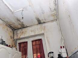 Mon appartement sent l humidité. Combattre L Odeur D Humidite Dans La Maison