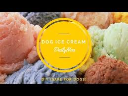 While dogs may try their best to get you to share your vanilla ice cream with them, you should avoid giving it to them. Can Dogs Eat Ice Cream How To Know If Ice Cream Is Safe For Dogs