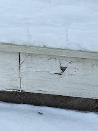 Image result for site:byggahus.se rötskada