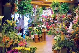Check spelling or type a new query. Florist In Hinsdale Flower Delivery Phillip S Flowers