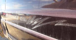 Image result for Wildberry 1993 Shadow