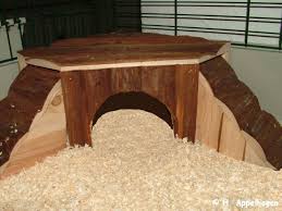 Klicken sie 'immer erlauben' um mädchenzimmer einrichten zu spielen! Einrichtung Spiel Spass