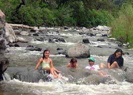 Una travesía que inicia en emiliano zapata donde rápidamente te internas en el bosque por una brecha que te llevará hasta el río de aguas termales. A Brief Guide To Mexico S Primavera Forest Mexconnect
