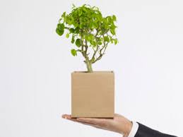 The company have done many years of research in grain soup and corn recipes. Green Products And Solutions Environmental Antalis Malaysia