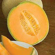 Hale S Best Jumbo Melons Seeds More Heirloom Organic Non Gmo Vegetable Fruit Herb Flower Garden Seeds At Seed King Express In 2021 Growing Cantaloupe Fruit Seeds Garden Seeds