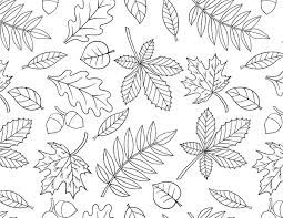 As summer gives way to fall, it's time to think about new flowers for your containers an. Free Printable Fall Coloring Pages Skip To My Lou